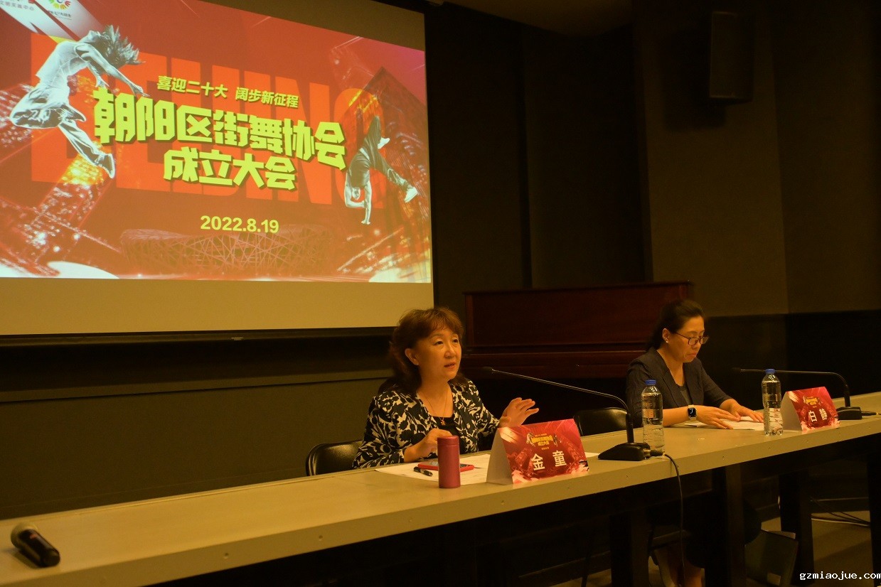 4朝阳区街舞协会成立大会现场（张正晔摄